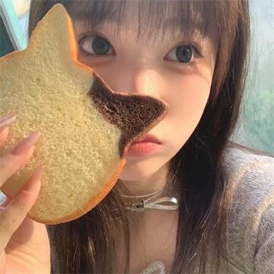 庇护